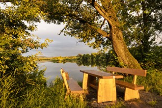 The Great Roetelsee Pond in the Roetelseeweiher bird sanctuary in the evening at golden hour. In the foreground a table and two benches to take a break by the lake. Cham
