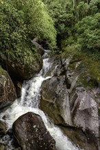 Small cascade between the rocks and the natural vegetation of the brazilian rainforest in Itatiaia