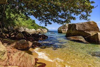 Paradisiacal beach of green and transparent waters surrounded by the forest in Ilha Grande