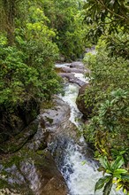 River running through the rocks and preserved vegetation of the Atlantic Forest in Itatiaia state of Rio de Janeiro