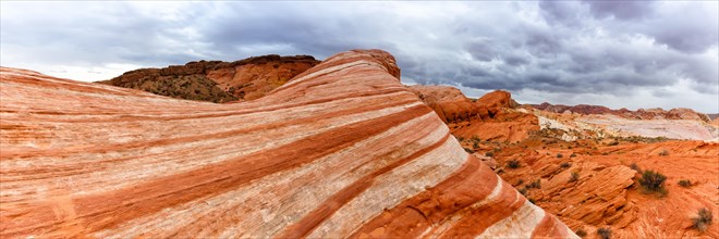 Fire Wave rock formation in the Valley of Fire State Park Panorama in Nevada