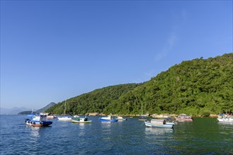 Fishing boats floating on calm waters in Ilha Grande bay in Angra dos Reis with the rainforest and hills in the background