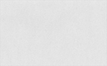 White paper texture background