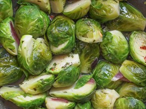 Brussels sprout cabbage vegetables