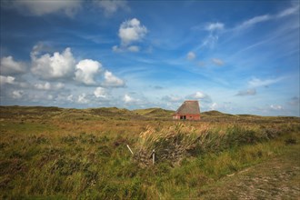 National park 'De Muy' with sheep shelter bungalow building on island Texel in Netherlands
