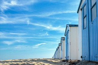 Row of white and blue beach huts on the beach of island Texel in the Netherlands with blue sky on sunny day
