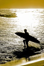 Silhouette of a surfer entering the sea with his surfboard during the sunset at Ipanema beach in Rio de Janeiro