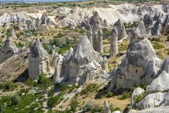 Valley with famous rock formations in Cappadocia