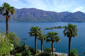 Brissago Islands