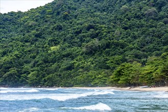 Beautiful paradise beach surrounded by rainforest in Trindade