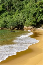 Paradisiacal and untouched beach of green and transparent waters surrounded by the forest in Ilha Grande