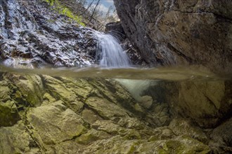 Underwater photo of a mountain stream with waterfall in the Kalkalpen National Park