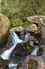 Small creek with clear waters running through the rocks of the mountains and forests of Minas Gerais