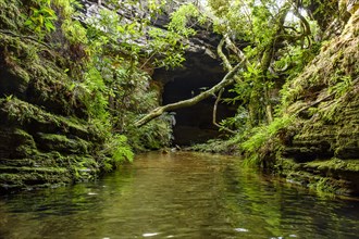 River flowing calmly inside a cave with an opening through which light enters and the lush vegetation of the rainforest in the city of Carrancas in Minas Gerais