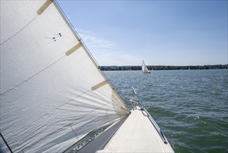 Bow of the sailboat with sail while sailing