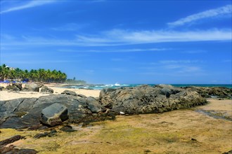 Famous Itapua beach in Salvador in Bahia with its coconut trees and rocks over the sand
