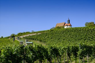 Pilgrimage church Maria im Weingarten