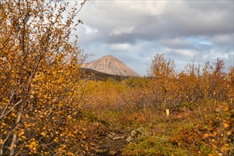 Volcanic landscape in autumn near Myvatn