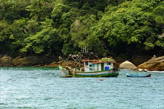Fishing trawler anchored along the rocks and forest by the sea in Trindade