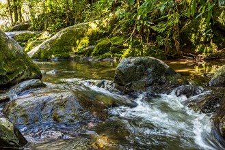 Stream running through the rocks and vegetation of the rainforest in Itatiaia in the state of Rio de Janeiro