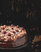 Chocolate cake with nuts and cherries
