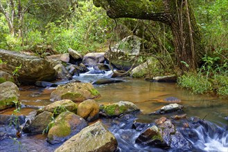 Small creek with clear waters running through the rocks of the mountains of Minas Gerais