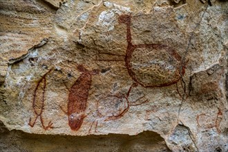 Rock art painting at Pedra Furada