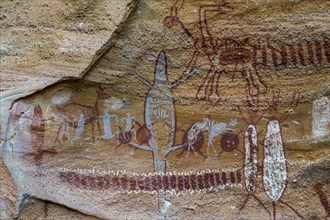 Rock art painting at Pedra Furada