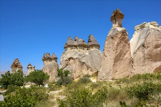 Typical and inhabited rock formations in the Cappadocia region of Turkey with blue sky and vegetation