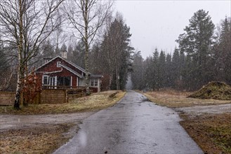 Lonely Swedish house in driving snow