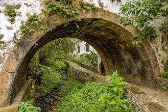 Old historic stone tunnel passing through vegetation and old colonial-style houses in the historic city of Ouro Preto in the state of Minas Gerais.