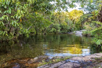 Small lake and stream with transparent water between the rainforest vegetation in Carrancas