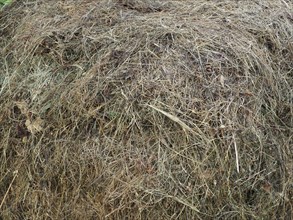 Heap of hay texture useful as a background