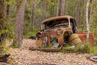 Car graveyard in the middle of the forest near Ryd