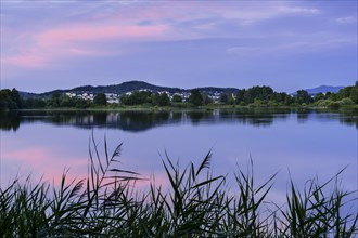 The Great Roetelsee Pond in the Roetelseeweiher bird sanctuary after sunset. The sky is reflected in the calm lake surface. In the background the town of Cham