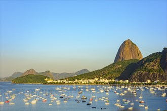 Guanabara Bay with boats floating on the water and the Sugarloaf Mountain in the background during the summer afternoon