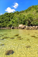Paradisiacal scenery with the meeting of transparent waters of the sea of Ilha Grande in Angra dos Reis with the tropical forest