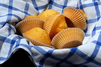 Several muffins with cloth