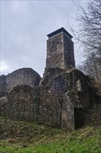 Ruins of Hinterburg Castle