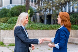 Executive Women Greeting Each Other in a Commercial Building Area