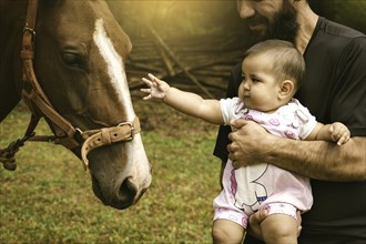 Close up of baby girl with dad touching a mare. Father's Day Concept. Sunset light