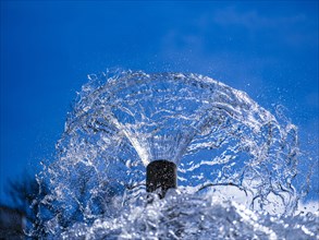 Fountain in the spa gardens of Bad Homburg vor der Hoehe