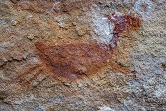 Rock art painting at Pedra Furada