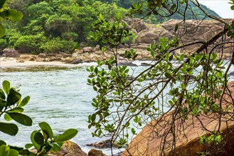 The deserted beach and the sea hidden between the rocks and the rainforest in Trindade