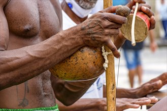 African-American musician playing a traditional Brazilian percussion instrument called berimbau during a capoeira performance on the streets of Pelourinho in Salvador