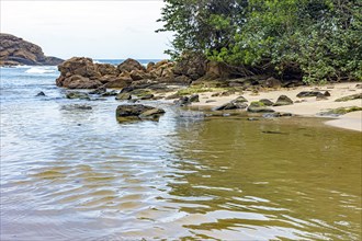 Waters of a small river heading towards the sea between the sand and the rainforest in Trindade on the south coast of the state of Rio de Janeiro