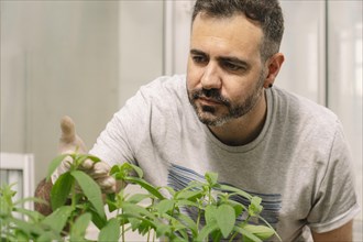 Portrait of a handsome scientist looking closely at the leaves of a plant native to South America working in a greenhouse. Copy space