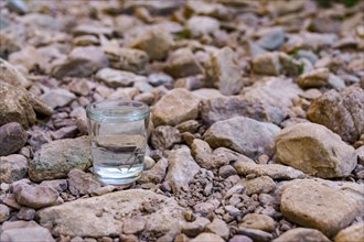 Close-up of a glass of water on a dry riverbed