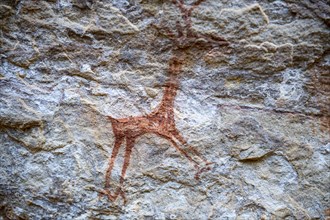 Rock art painting at Pedra Furada