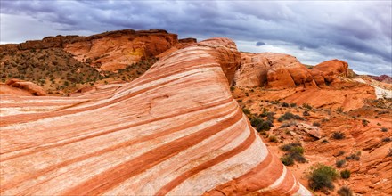 Fire Wave rock formation in the Valley of Fire State Park Panorama in Nevada